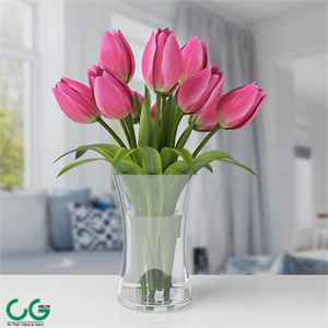 Tulips